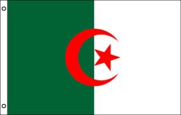 Algeria flag 900 x 1500 | Algeria flagpole flag Algeria flag 900 x 1500 | Algeria flagpole flag
