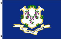 Connecticut flag 900 x 1500 | Large State flag of Connecticut Connecticut flag 900 x 1500 | Large State flag of Connecticut