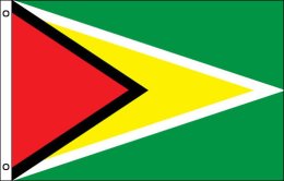 Guyana flag 900 x 1500 | Large Guyana flagpole flag Guyana flag 900 x 1500 | Large Guyana flagpole flag