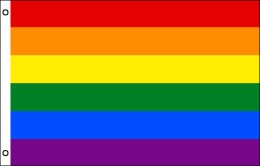 Rainbow flag 900 x 1500 | LGBT Rainbow flagpole flag Rainbow flag 900 x 1500 | LGBT Rainbow flagpole flag